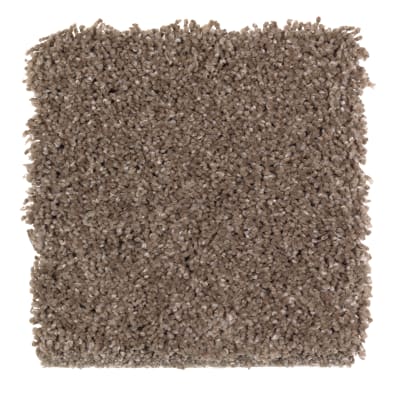 Pleasing Nature in Tweed - Carpet by Mohawk Flooring