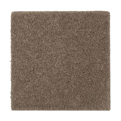 Urban Grandeur in Pine Cone - Carpet by Mohawk Flooring