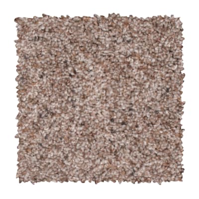 Earthly Details I in Beige Twill - Carpet by Mohawk Flooring