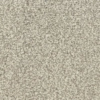 Dawn's Delight in Artic Blast - Carpet by The Dixie Group