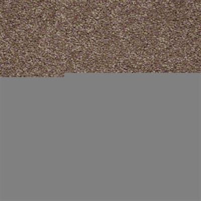 Textured Story 15 in Candied Truffle - Carpet by Shaw Flooring