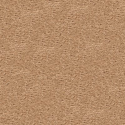 Style Renewal in Sparkling Cider - Carpet by Mohawk Flooring