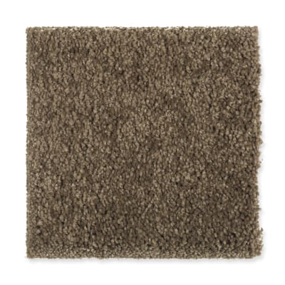 Smart Color in Sassafras - Carpet by Mohawk Flooring