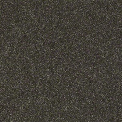 West Place I in Mineralite - Carpet by Shaw Flooring