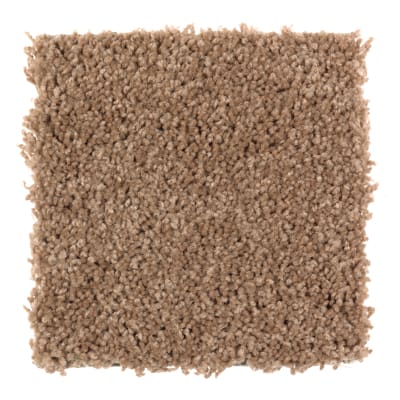 Tender Moment in Rich Maple - Carpet by Mohawk Flooring