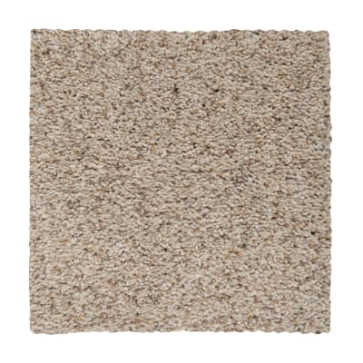 Calming State in Shaded Earth - Carpet by Mohawk Flooring