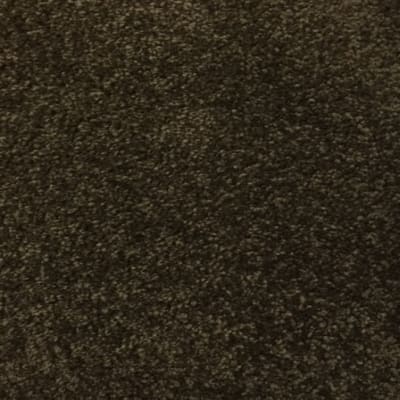 Coastal Path II in Black Walnut - Carpet by Mohawk Flooring