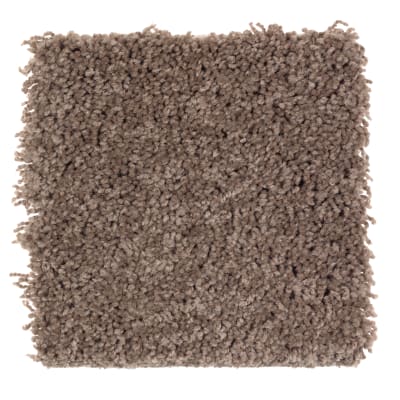 Tender Moment in Thoroughbred - Carpet by Mohawk Flooring