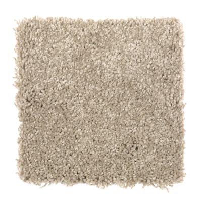 Intriguing Array in Winter Leaf - Carpet by Mohawk Flooring