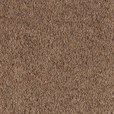 Heavenly Shores in Koala - Carpet by Mohawk Flooring