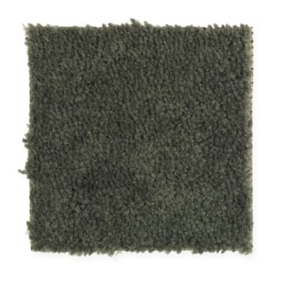Everyday Living in Ivy Trellis - Carpet by Mohawk Flooring