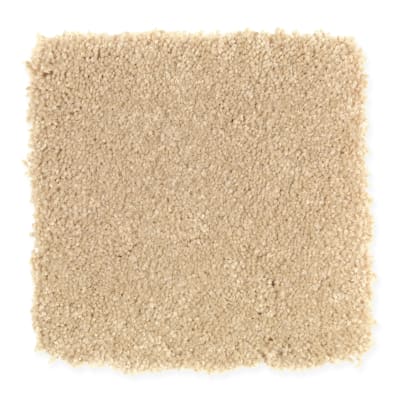 Beach Club IV in Spiced Rum - Carpet by Mohawk Flooring