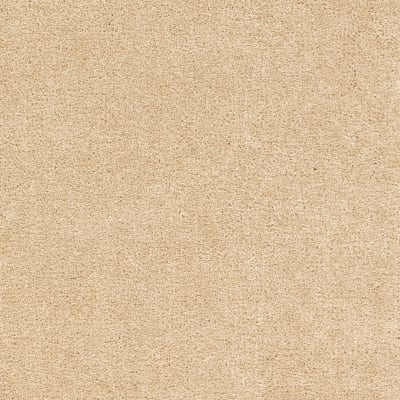 Lively Intuition in Autumn Ash - Carpet by Mohawk Flooring