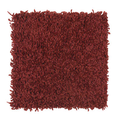 Posh Origins in Ladybug - Carpet by Mohawk Flooring