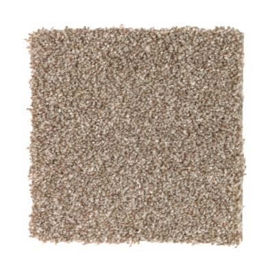 True Harmony in Americana - Carpet by Mohawk Flooring