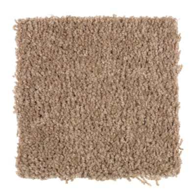 All's Fair in Apple Butter - Carpet by Mohawk Flooring