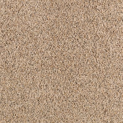 Amazing Approach in Taupe Whisper - Carpet by Mohawk Flooring