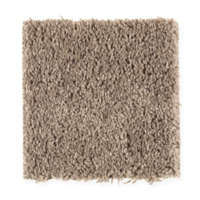 Simple Selection in Longhorn - Carpet by Mohawk Flooring