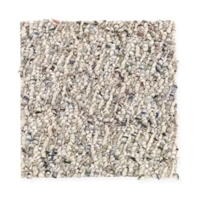 Fernwood Forest in Desert MIX - Carpet by Mohawk Flooring