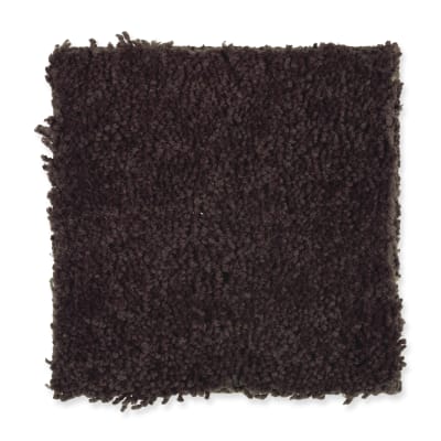 Inspiring Color in Coffee Bean - Carpet by Mohawk Flooring