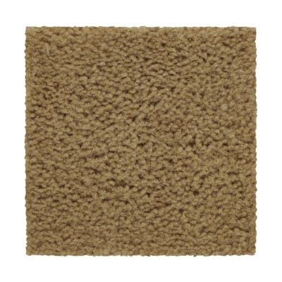 Winsome Crest in Rich Earth - Carpet by Mohawk Flooring