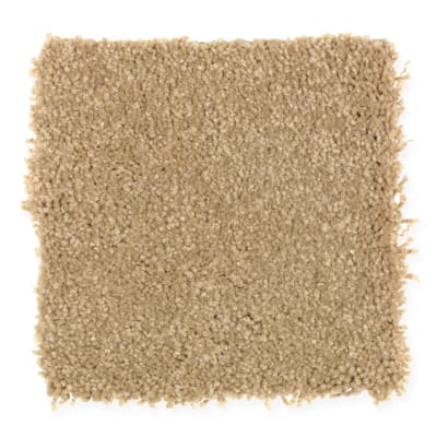 Coastal Path III in Leather Bound - Carpet by Mohawk Flooring