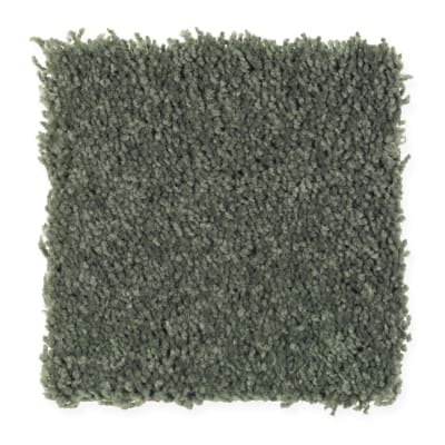 Visual Comfort in Spruce - Carpet by Mohawk Flooring
