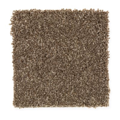 Harmony in Willow Bark - Carpet by Mohawk Flooring