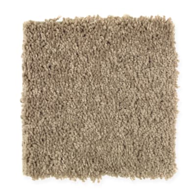 American Legacy in Soapstone - Carpet by Mohawk Flooring