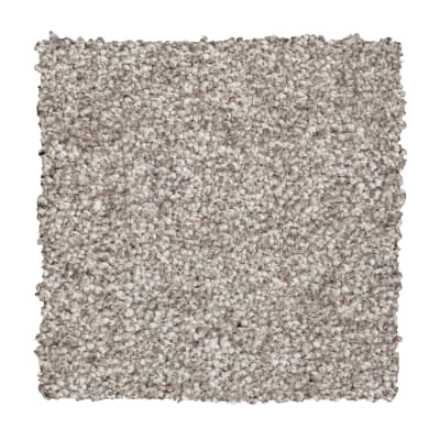 Soft Interest II in Tree Bark - Carpet by Mohawk Flooring