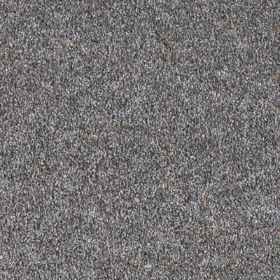 Easy Living III in Underground - Carpet by Engineered Floors