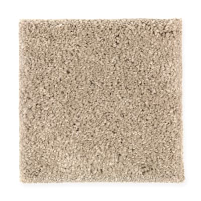Artful Eye in Sapling - Carpet by Mohawk Flooring