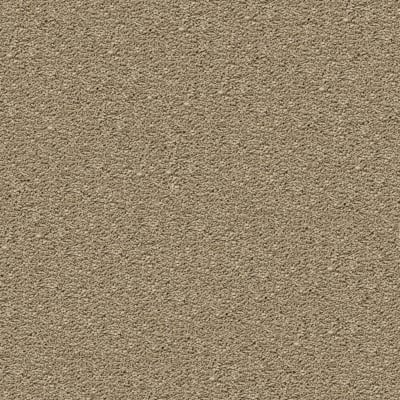 Style Renewal in Mint Julep - Carpet by Mohawk Flooring