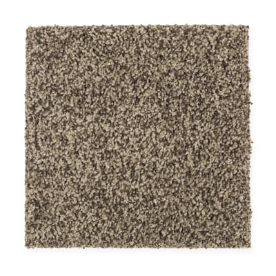 Design Therapy in Dried Moss - Carpet by Mohawk Flooring