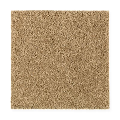 Lavish Design in Golden Buff - Carpet by Mohawk Flooring