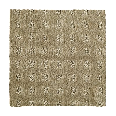 Invigorating in Tawny - Carpet by Mohawk Flooring