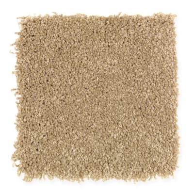 Beach Club III in Carved Wood - Carpet by Mohawk Flooring