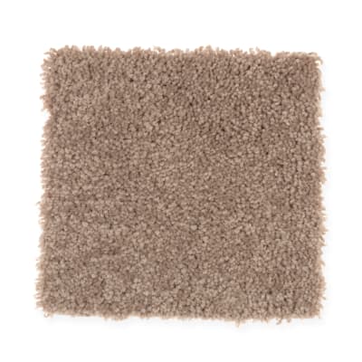 Tranquil Touch Solid in Expedition - Carpet by Mohawk Flooring