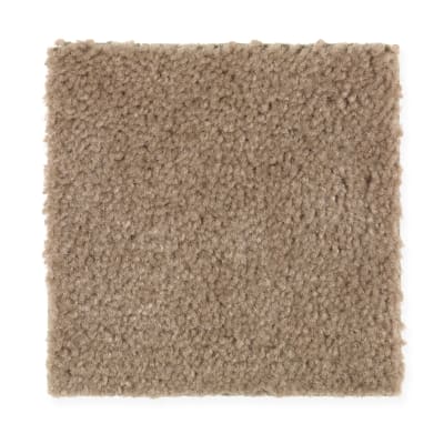 Everyday Living in Rustic Charm - Carpet by Mohawk Flooring