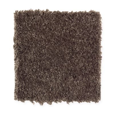 American Splendor I in Black Walnut - Carpet by Mohawk Flooring