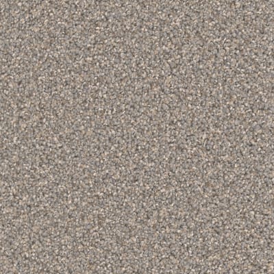 Broadcast Plus in Field Slate - Carpet by Engineered Floors