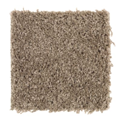 Crowd Favorite in Antique Earth - Carpet by Mohawk Flooring