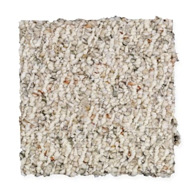 Fernwood Forest in Antique Linen - Carpet by Mohawk Flooring