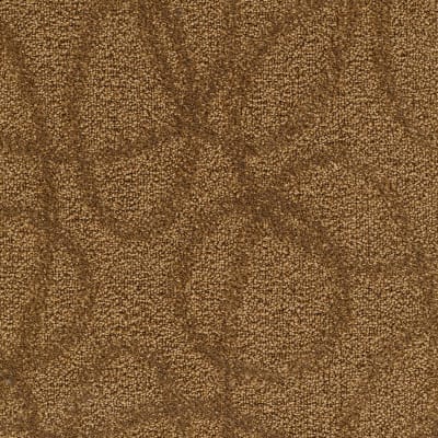 Modern Aesthetic in Innovative Scene - Carpet by Mohawk Flooring