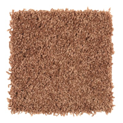 Artful Eye in Autumn Harvest - Carpet by Mohawk Flooring