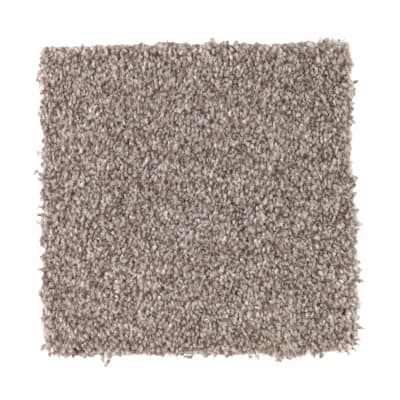 True Harmony in Mystic - Carpet by Mohawk Flooring