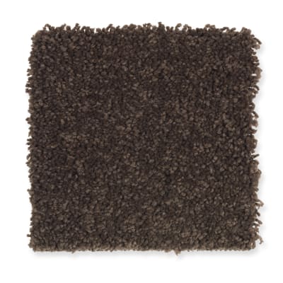 Bellevue Terrace in Fudge Bar - Carpet by Mohawk Flooring