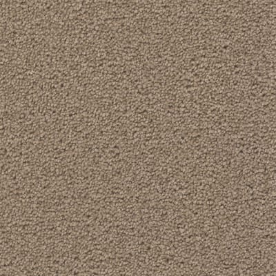 Broadcast Plus in Balsam - Carpet by Engineered Floors