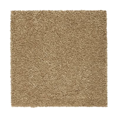 Pure Comfort in Tortoise Comb - Carpet by Mohawk Flooring