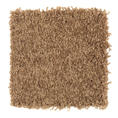 Artful Eye in New Penney - Carpet by Mohawk Flooring